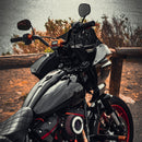 Harley Davidson Risers FXLRST